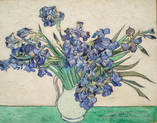 Van Gogh - Metropolitan Museum of Art (the Met)