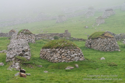  Archaeology, Architecture, Hebrides, History, Landscape, Photography, Scotland, Soay sheep, St Kilda, Travel