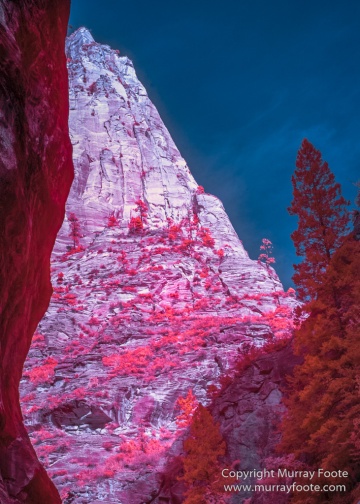 Infrared, Landscape, Photography, Southwest Canyonlands, Travel, USA, Utah, Zion Canyon