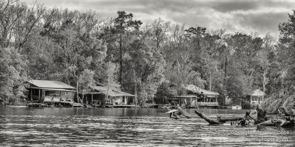 Architecture, Bayou, Black and White, Infrared, Landscape, Mississippi River, Monochrome, Nature, New Orleans, Photography, Travel, USA, Wilderness
