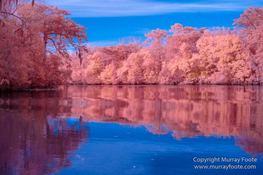 Bayou, Infrared, Landscape, Mississippi River, Nature, New Orleans, Photography, Travel, USA, Wilderness