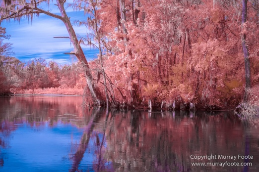 Bayou, Infrared, Landscape, Mississippi River, Nature, New Orleans, Photography, Travel, USA, Wilderness