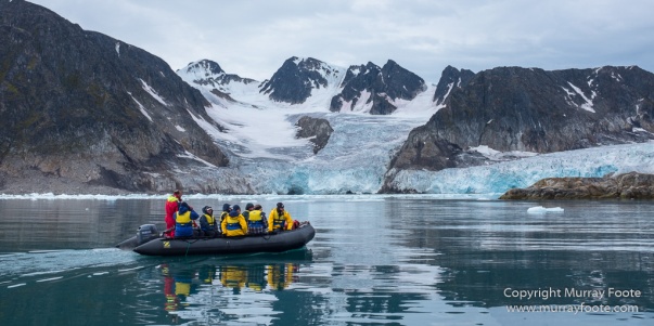 Glacier, Guillemots, Hamiltonbukta, Icebergs, Nature, Photography, Polar Bears, seascape, Spitsbergen, Travel, Walrus, Wilderness, Wildlife