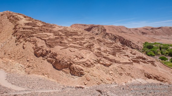 Atacama Desert, Chile, Coyote Leap, Laguna Tebenquiche, Landscape, Nature, Photography, Pukará de Quitor, Tatio, Travel, Tulor, Valee de la Luna, Wilderness, Wildlife