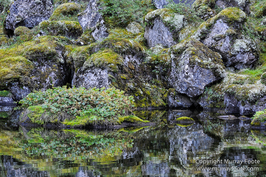 Ásbyrgi, Iceland, Jökulsárgljúfur National Park, Landscape, Nature, Photography, Reflections, Travel, Wilderness