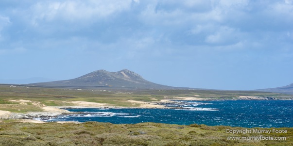 Falkland Islands, Landscape, Nature, Pebble Island, Photography, seascape, Travel, Wilderness
