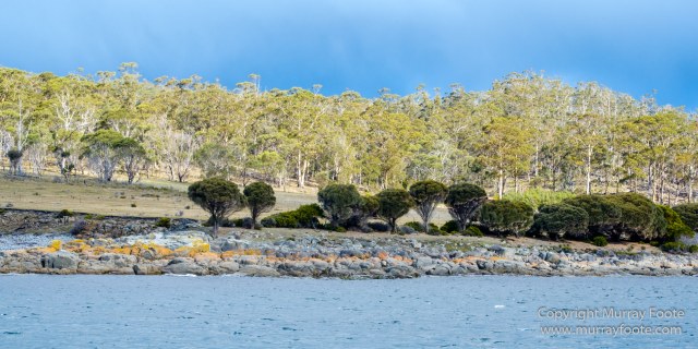 Australia, Fortescue Bay, Ketch, Landscape, Maria Island, Nature, Photography, Sailing, seascape, Tasmania, Travel, Wilderness, Wineglass Bay Sail Walk, Yachts