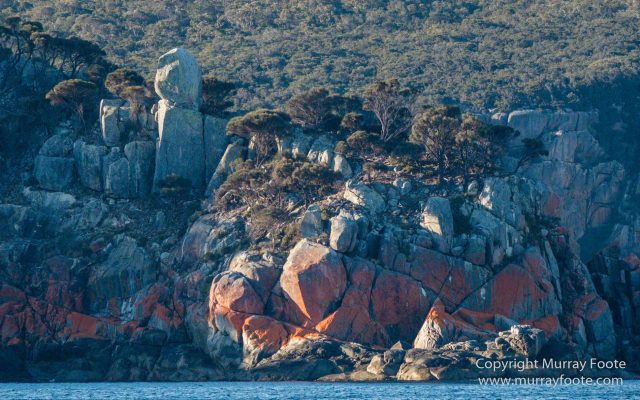 Australia, Freycinet Peninsula, Fur seal, Ketch, Little Tern, Nature, Photography, Sailing, seascape, Tasmania, Travel, Wilderness, Wineglass Bay, Wineglass Bay Sail Walk, Yachts