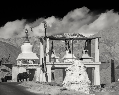 Alchi Monastery, Black and White, Buddhism, Hemis Monastery, India, Ladakh, Landscape, Leh, Monochrome, Photography, Street photography, Tibet