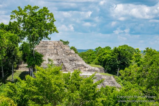 Archaeology, Architecture, Cormorant, Guatemala, Howler Monkeys, Landscape, Maya, Nature, Photography, Topoxte, Toucan, Travel, Wilderness, Wildlife, Yaxha