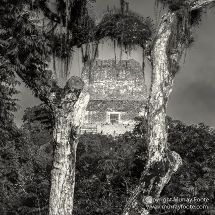 Archaeology, Architecture, Black and White, Guatemala, Infrared, Landscape, Maya, Monochrome, Nature, Photography, Tikal, Travel