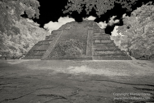 Archaeology, Architecture, Black and White, Guatemala, Infrared, Landscape, Maya, Monochrome, Nature, Photography, Tikal, Travel