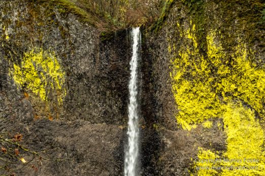 Landscape, Nature, Oregon, Photography, Rainforest, seascape, Travel, USA, Waterfall, Wilderness