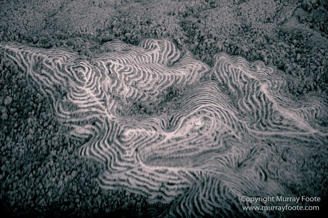 Aerial Photography, Black and White, Clouds, Infrared, Landscape, Nature, Photography, Sabah, Wilderness