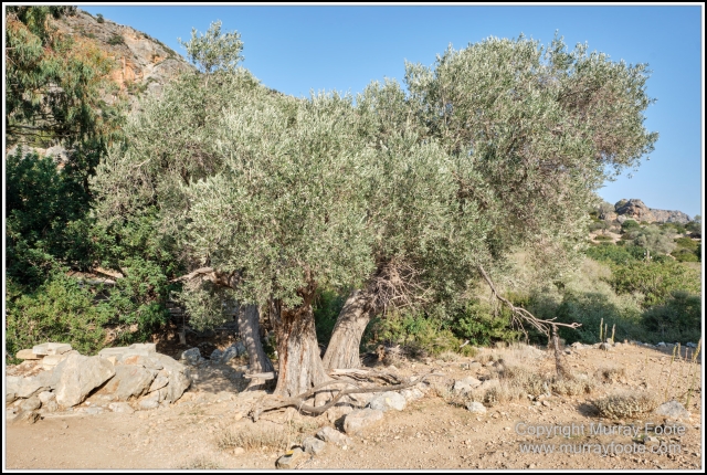 Archaeology, Crete, Greece, History, Landscape, Lissos, Nature, Photography, Travel