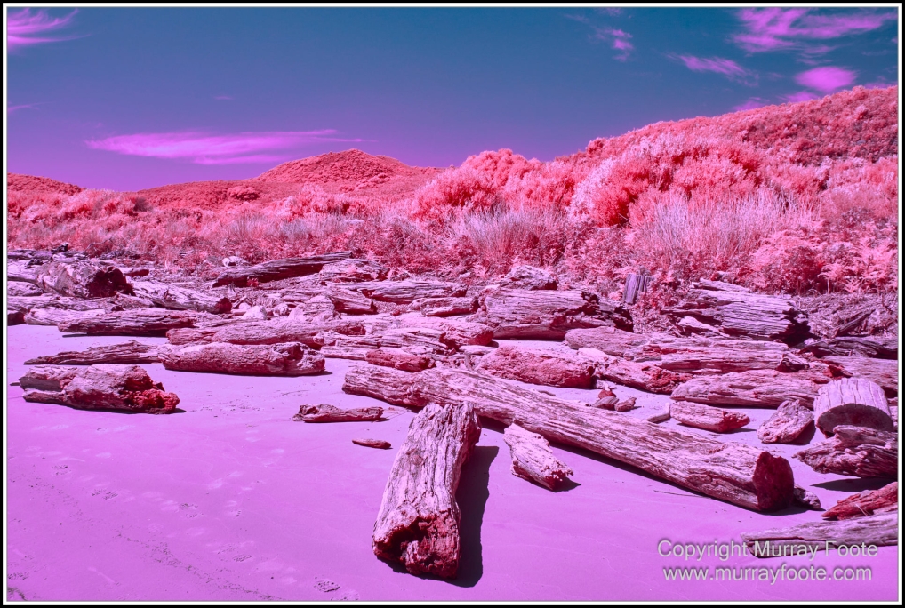 Infrared, Landscape, Nature, Photography, Pieman Heads, Pieman River, Pieman River Cruise, Reflections, Tasmania, Travel, Wilderness